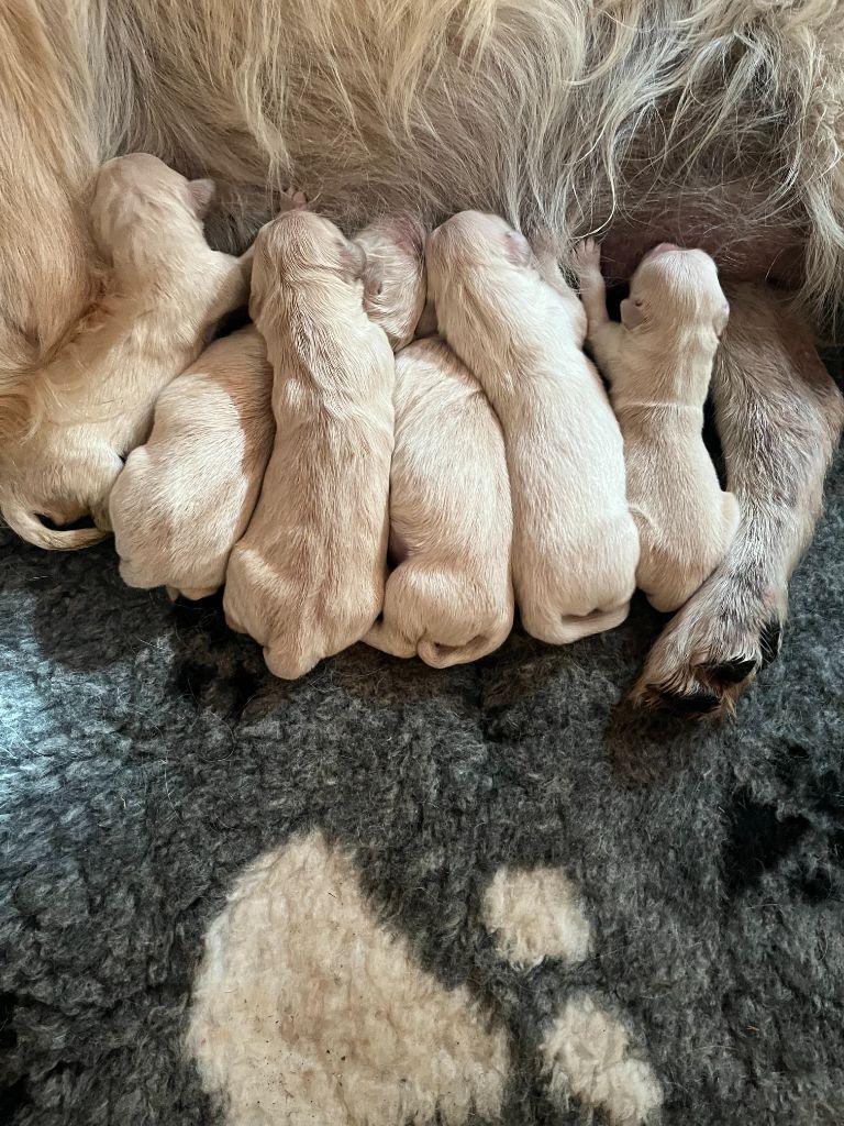 Les bebes sont nés 